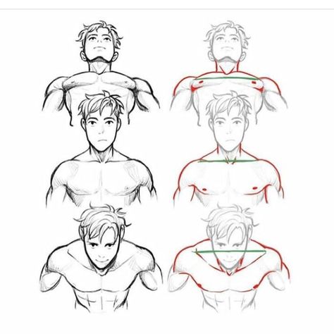 Drawing Male, Body Drawing Tutorial, Anatomy Sketches, Draw Anime, Body Reference Drawing, Perspective Art, Poses References, Anatomy Drawing, Guided Drawing