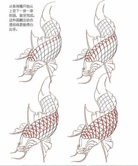 Drawing Of Fish, Isometric Sketch, Japanese Koi Fish Tattoo, Scientific Drawing, Koi Fish Drawing, Drawn Fish, Scale Drawing, Japanese Fish, Koi Fish Tattoo