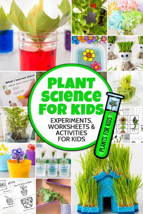 Gardening Lessons For Kids, Botany For Kids, Plant Projects For Kids, Botany Experiments, Botany Activities, Plants Science Project, Plants Science Activities, Plants Science Experiments, Nature Curriculum