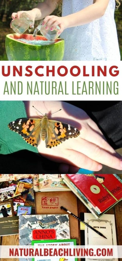 Unschooling Ideas Elementary, Christian Based Homeschool Curriculum, Spring Homeschool Ideas, Unschool Activities, Unschooling Ideas Activities, Unschooling Science, Unschooling Schedule, Unschooling Activities, Unschooling Preschool