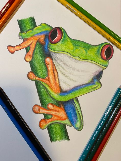 Colored Pencil Artwork Ideas, Colored Pencil Art Projects, Color Pencil Sketch, Prismacolor Art, Crayon Drawings, Frog Drawing, Canvas For Beginners, Colored Pencil Artwork, Canvas Painting Ideas