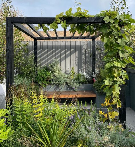 Vege Garden Ideas, Contemporary Courtyard, Small Garden Pergola, Back Garden Landscaping, Cottage Garden Plan, Garden Pergola, Courtyard Gardens Design, Back Garden Design, Courtyard Design