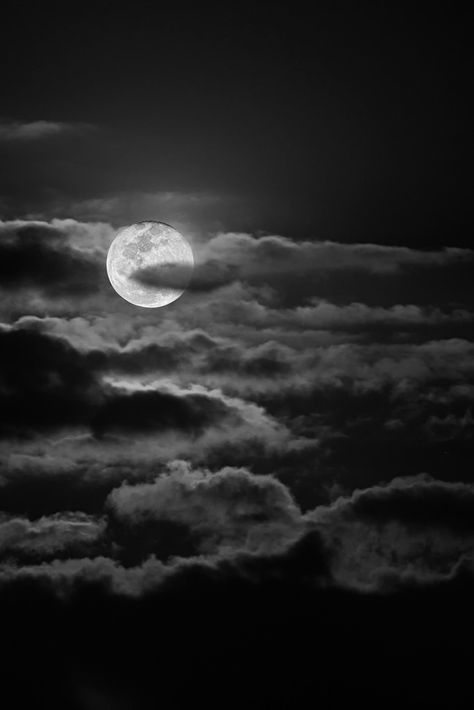 A pretty full moon playing with the clouds last night Sky Tattoos, Cloudy Night, Sejarah Kuno, Cloud Tattoo, Moon Images, Moon Clouds, Night Sky Wallpaper, Moon Pictures, Moon Photography