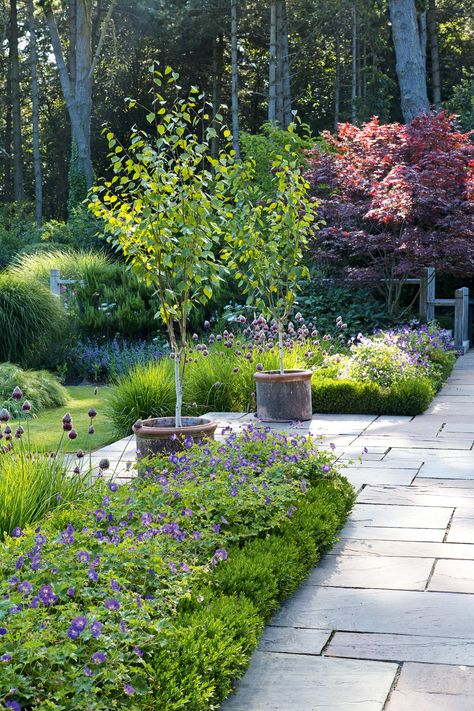 Small Trees For Garden, Courtyard Gardens Design, Back Garden Design, Casa Exterior, Have Inspiration, Outdoor Gardens Design, The Secret Garden, Garden Borders, Small Garden Design