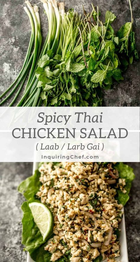 Thai Laab Salad, Chicken Laab Recipe, Shrimp Larb Recipe, Thai Salad Recipes Noodles, Chicken Larb Recipes Thai, Chicken Larb Recipe, Larb Gai Thai Chicken, Chicken Laap Recipe, Laap Recipe