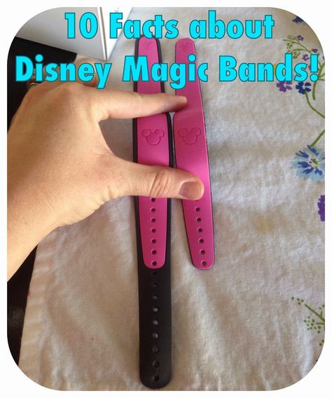 Disney Bands, Florida Disney, Disney Magic Bands, Travel Florida, Florida Adventures, Disney World Vacation Planning, Family Disney Trip, Fast Pass, Disney Orlando