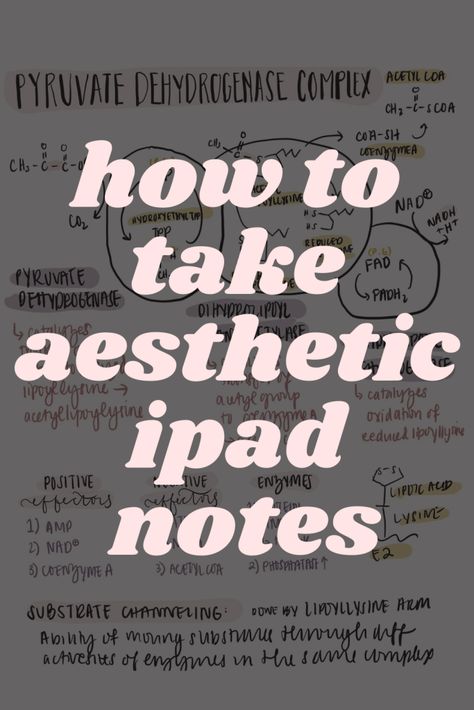 How to Take Aesthetic Notes on Your iPad How To Write Aesthetic Notes On Ipad, Ipad Homework Aesthetic, Note Taking Tips Ipad, Digital Notetaking Aesthetic, Good Notes Examples, Aesthetic Notes Good Notes, Good Note Hacks, Ipad Notes College Notability, Procreate Note Taking