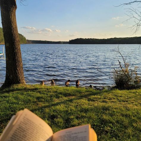 Little day of reading by the beach ft. duck friends #reading #cabin #lakeday #readingbythelake #lakereadings Summer Nights, Nature, Bonito, Summer Bucket Lists, Friends Reading, Cabin Aesthetic, Lake Cabins, By The Beach, Summer Feeling