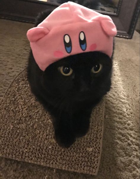 Kirby, Black Cat, Kitty, Pink, Black