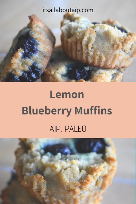 Paleo Lemon Blueberry Muffins, Aip Recipes Autoimmune Protocol, Lemon Blueberry Muffins Recipe, Paleo Blueberry Muffins, Autoimmune Diet Recipes, Aip Baking, Aip Diet Recipes, Aip Snack, Aip Breakfast