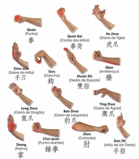 Untitled — arcaniusthegreat: taichi-kungfu-online: Learn... Wing Chun Martial Arts, Martial Arts Sparring, Martial Arts Quotes, Tai Chi Exercise, Bahasa Jepun, Trening Sztuk Walki, Self Defense Moves, Kung Fu Martial Arts, Shaolin Kung Fu