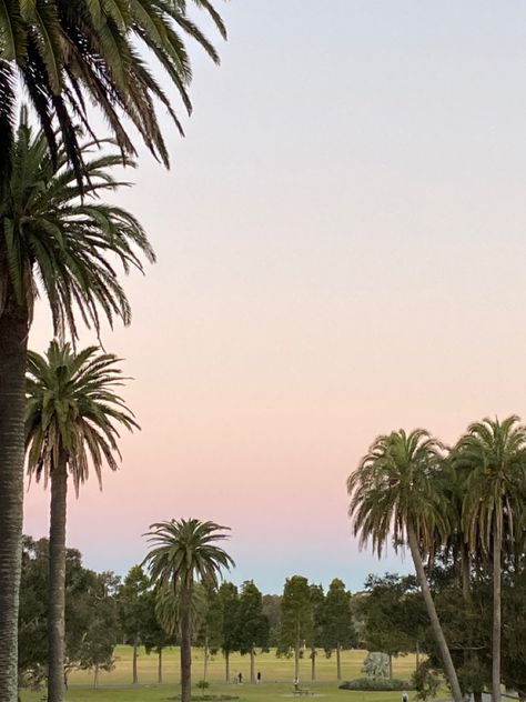 Centennial Park, Sydney Centennial Park Sydney, Centennial Park, 2024 Vision, Nature Reserve, East Coast, X Men, Sydney, Australia, Running