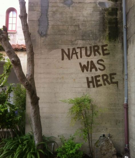 “Nature was here” spray painted on an abandoned building Protest Art, Edward Hopper, Amazing Animals, Street Art Graffiti, A Sign, Banksy, Graffiti Art, Urban Art, Good Vibes