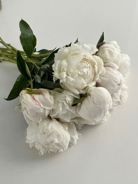 Clean Vanilla Girl, I Am Mine, White Peonies Bouquet, Lady Aesthetic, In Love With Life, Plants Aesthetic, Dainty Jewellery, Flowers In Bloom, Polished Wood