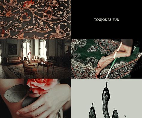 Sacred 28 Harry Potter, Sacred 28, Slytherin Dark Academia, Parkinson Aesthetic, Sacred Twenty Eight, Slytherin Vibes, Darkest Academia, Narcissa Malfoy, Hp Universe