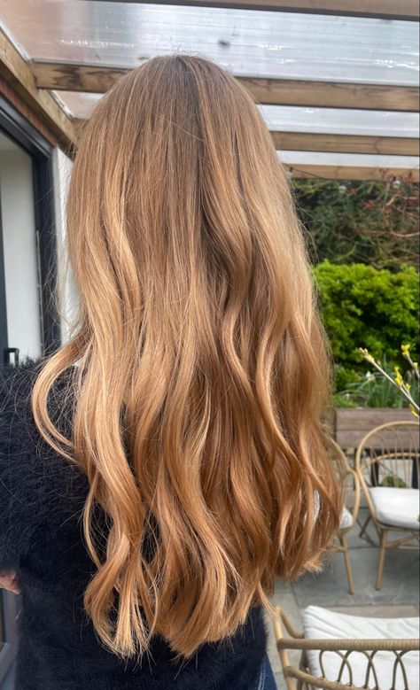 Champagne Blond, Caramel Blonde Hair, Warm Blonde Hair, Summer Blonde Hair, Honey Hair Color, Strawberry Blonde Hair Color, Honey Brown Hair, Brown Hair Inspo, Ginger Hair Color