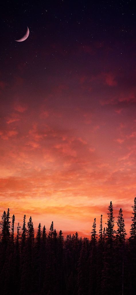 Evening Wallpaper Sunset Phone Background, Spooky Moon Wallpaper, Summer Evening Wallpaper, Fall Sky Wallpaper, Autumn Moon Wallpaper, Fall Sunset Wallpaper, Warm Aesthetic Wallpaper, Evening Sky Wallpaper, California Aesthetic Wallpaper