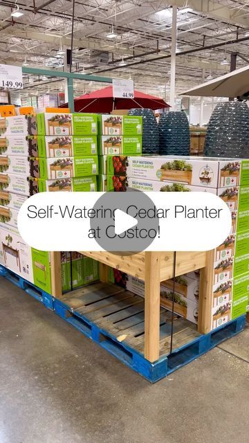 🖤 Hi, I’m Laura Lamb! on Instagram: "🪴 Cedar Self Watering Planter at Costco!!! Dimensions: 22”L x 48” x 30”H. This has a 6 gallon 💧 reservoir. Awesome deal for this!!! . #costco #plantlife #reels" Gardening Indoors, Cedar Planters, Raised Planter, Self Watering Planter, Self Watering, Plant Life, New Homes, Road, On Instagram