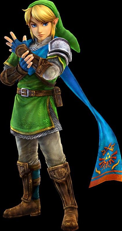 Hyrule Warriors Link, Zelda Hyrule Warriors, Link Costume, Nintendo Mario Bros, Zelda Tattoo, Fire Emblem Warriors, Link Cosplay, Legend Of Zelda Memes, Zelda Cosplay