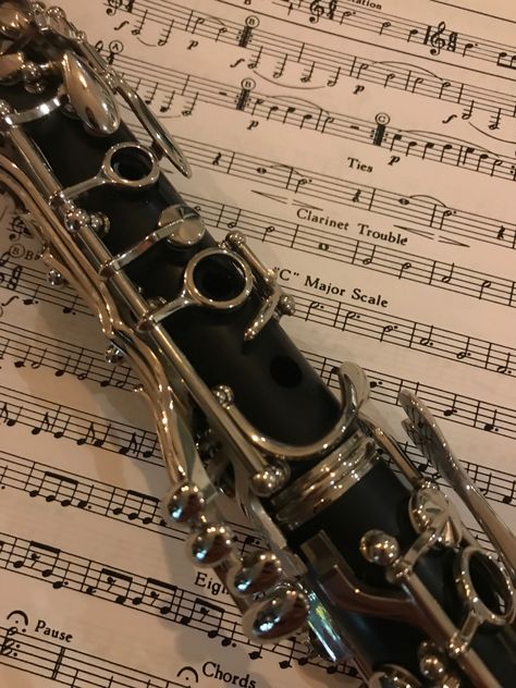 Clarinet Sheet Music Aesthetic, Bass Clarinet Aesthetic, Aesthetic Clarinet, Clarinet Pictures, Clarinet Aesthetic, Flute Aesthetic, Instruments Aesthetic, Band Instruments, Band Trip