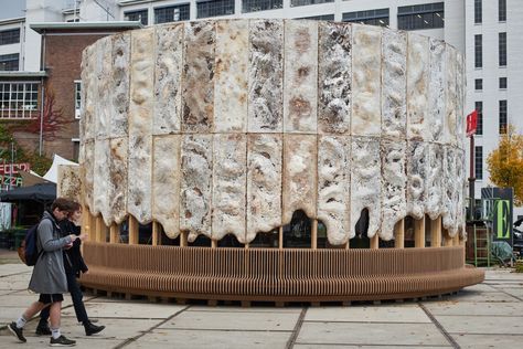 Biodegradable Architecture, Biomaterials Architecture, Fungi Architecture, Mycelium Furniture, Mycelium Architecture, Mycelium Design, Mushroom Architecture, Bio Art, Central Saint Martins