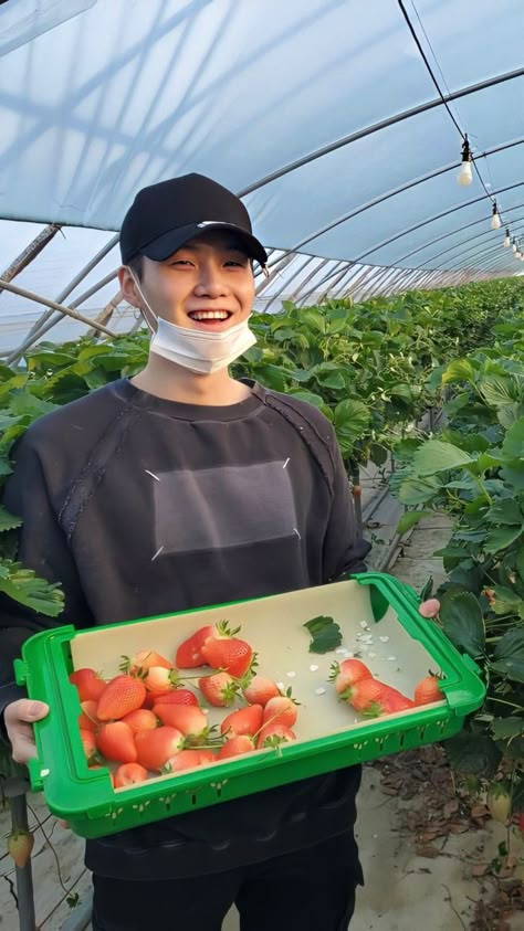 Picking Strawberries, Yoongi Boyfriend, Yoongi Marry Me, Suga Min Yoongi, Min Yoongi Bts, Min Yoon Gi, Min Suga, Agust D, Bts Suga