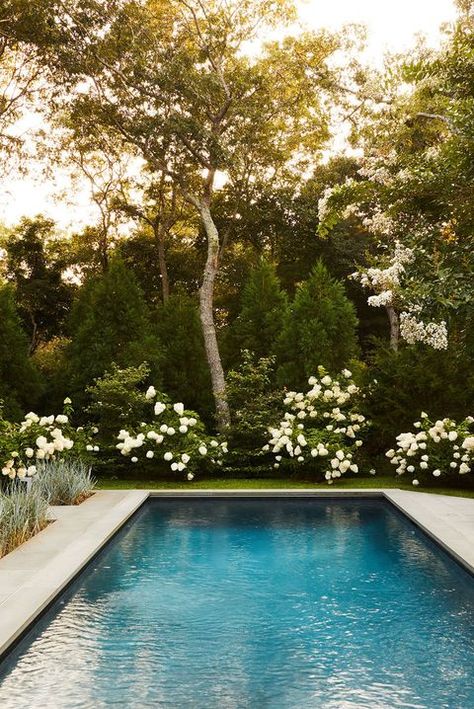 Pool Landscape Design, Backyard Pool Landscaping, Backyard Inspiration, Backyard Pool Designs, Small Backyard Pools, Swimming Pool Designs, Dream Backyard, Garden Pool, Pool Landscaping