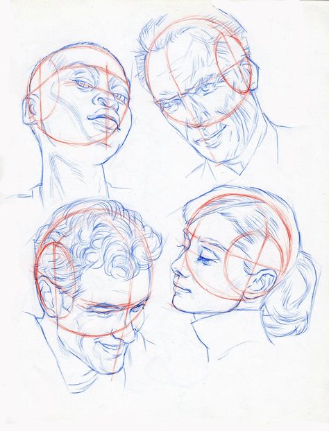 Human Anatomy Drawing Sketches, Drawing Sketches Face, Anatomy Drawing Sketches, Loomis Method Head, Sketches Face, Loomis Method, 얼굴 드로잉, Human Anatomy Drawing, Drawing Heads