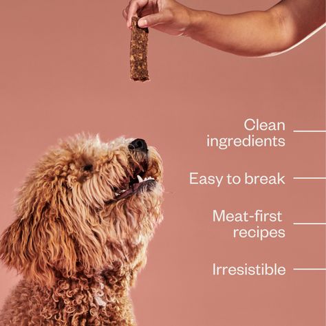 Once your dog tries an Ollie Jerky Strip, they'll want a bag shipped with every Ollie box. But don't fret! You can add our treats to every shipment from your account or on our app. #ToKnowThemIsToLoveThem Pet Food Photography Ideas, Pet Food Ideas, Dog Treat, Dog Treat Packaging, Pet Advertising, Pet Care Business, Animal Infographic, Dog Food Brands, Food Photoshoot