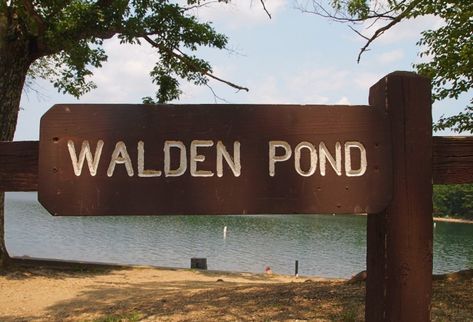 Walden Pond | A Whimsical Walk through Nature and History ---- Sign welcomes visitors to Walden Pond Walden Pond, Massachusetts Travel, Swimming Pond, Sun Moon Stars, Moon Stars, Atlantic Ocean, Get Outside, Pinterest Board, Sun Moon