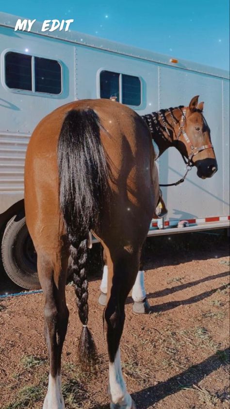 Barrel Racing Aesthetic, Horses Cute, Pictures With Horses, Rodeo Cowboys, Cute Horse Pictures, Barrel Racing Horses, Rodeo Horses, Barrel Horse, Rodeo Life