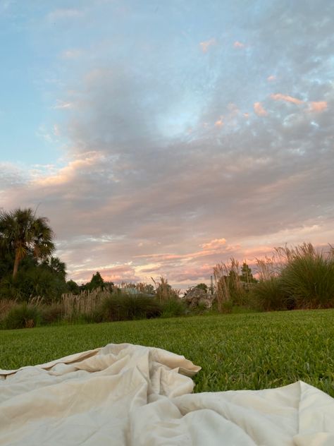 Picnic date in a field under the sunset🧚🏻‍♂️ Picnic Background Aesthetic, Picnic In Flower Field, Field Picnic Aesthetic, Picnic In Field, Kiersten Core, Flower Field Picnic, Picnic In A Field, Picnic Background, Picnic Field