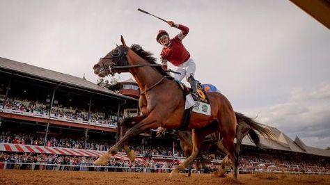 Dornoch Pulls Off the Upset in Exciting Belmont Stakes at Saratoga Preakness Stakes, Triple Crown Winners, Derby Winners, Beautiful Horse Pictures, Belmont Stakes, Fountain Of Youth, Saratoga Springs, Triple Crown, Preakness