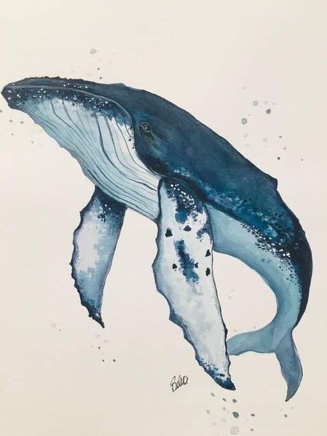 Whale Drawing, Whale Illustration, Whale Painting, Arte Doodle, Whale Tattoos, Sea Life Art, Watercolor Whale, Whale Art, Humpback Whale