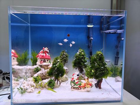 You can also bring a Christmas vibe to your fish tank. One idea for a fish tank theme with a Christmas vibe could be to incorporate festive decorations such as miniature ornaments, a tiny Santa, a Santa’s sleigh, and small Christmas trees. You can also add some artificial snow or create a winter wonderland scene with fake snow-covered rocks and plants. Christmas theme from @hygger.official Christmas Fish Tank Decoration, Christmas Fish Tank, Christmas Aquarium, Creative Fish Tank, Christmas Dioramas, Fish Tank Themes, Small Fish Tanks, Miniature Ornaments, Cool Fish Tanks