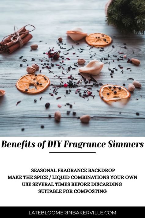 Elevate your space with scents that capture the essence of every season. Craft a natural fragrance backdrop and enjoy multiple times before composting. Season Craft, Diy Fragrance, Holiday Fragrance, Orange Spice, Cranberry Orange, Composting, Natural Fragrances, Cranberry, Scents