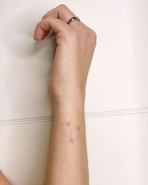 Pisces Star Tattoo, Pisces Constellation Tattoo, Pisces Constellation, Tattoo People, Constellation Tattoos, Star Tattoos, Minimal Tattoo, Star Signs, Delicate Bracelet