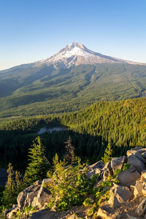 Hikes In Oregon, Oregon Hiking, Oregon Coast Hikes, Hiking Usa, Oregon Nature, Oregon Mountains, Oregon Camping, Oregon State Parks, Oregon Hikes