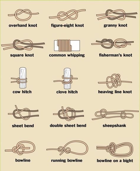 Knots, hitches and bends. They all sound like a lot of mumbo-jumbo. If you ever wanted to learn knot-tying, here is a great basic tutorial. Different Types Of Knots, Fishermans Knot, Fishing Hook Knots, Camping Knots, Types Of Knots, Survival Knots, Mumbo Jumbo, Overhand Knot, Knot Tying