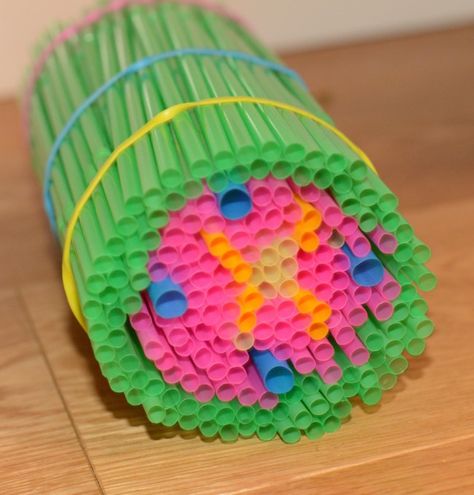 Straw model of a plant stem #science #plantscience Lego Plant Cell Model, Plant Maze Science Experiment, C4 Cycle In Plants, Botany Experiments, Transport In Plants, Classroom Stem Activities, Xylem And Phloem, Wacky Science, Plant Experiments