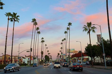 Sunset on Sunset San Diego Sunset, Los Angeles Aesthetic, Cali Life, Wallpaper Laptop, Pacific Coast Highway, Sunset Wallpaper, City Of Angels, California Love, California Dreamin'