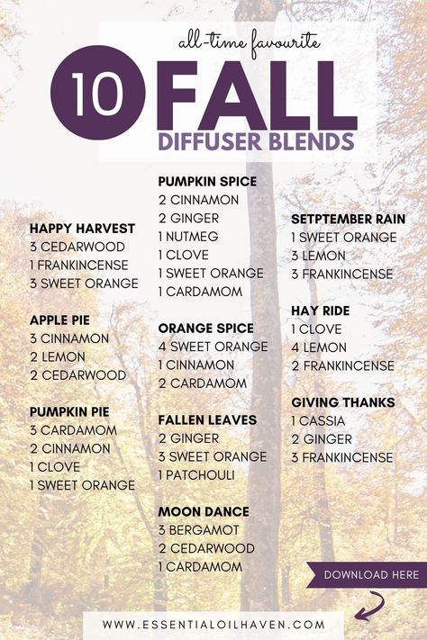 Discover the ultimate fall diffuser blend collection with our top 10 recipes! From the cozy warmth of Apple Pie to the vibrant zest of Orange Spice, each blend brings its own unique touch to your autumn ambiance. Perfect for creating a welcoming and seasonal atmosphere in your home. Fall Essential Oil Blends, Autumn Ambiance, Fall Essential Oils, Fall Diffuser Blends, Essential Oil Brands, Recipes For Fall, List Of Essential Oils, Essential Oil Diffuser Blends Recipes, Essential Oil Diffuser Recipes