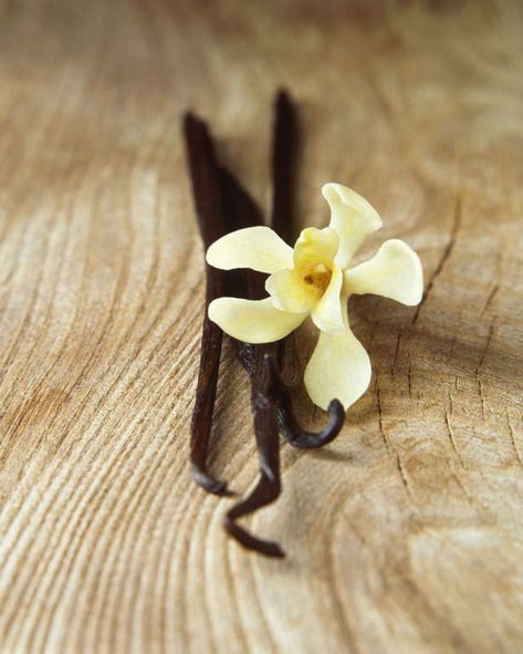 Vanilla Bean - Diana Miller - Getty Images Baking Substitutions, Dairy Allergy, Strawberry Shortcake Characters, Vanilla Spice, Baking Substitutes, Arrowroot Powder, Fresh Cheese, Make Do, Mascarpone Cheese