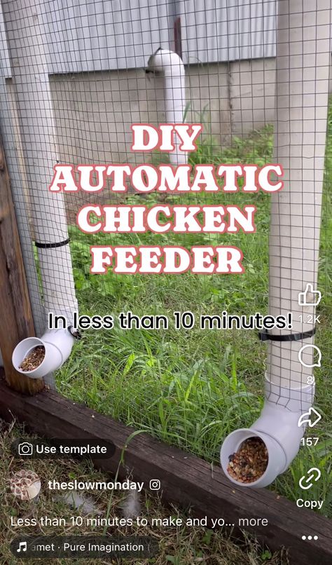 Diy Automatic Chicken Feeder, Dirty Chicken, Pvc Chicken Feeder, Organic Chicken Feed, Raising Meat Chickens, Chicken Feeder Diy, Chicken Roost, Small Chicken Coops, Rain Harvesting