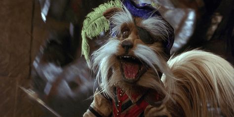 Labyrinth Sir Didymus, Sir Didymus, Laura Knight, Jim Henson Labyrinth, Labyrinth 1986, Labyrinth Movie, Angry Animals, Movie Facts, Fascinating Facts