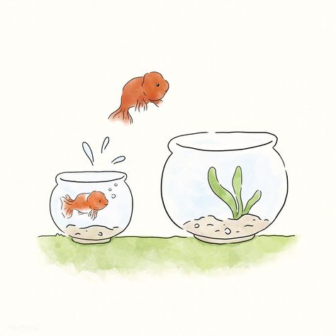 Goldfish jumping into a bigger bowl | premium image by rawpixel.com Fish Bowl Illustration, Fish Bowl Drawing, Bowl Drawing, Bowl Illustration, Home Vector, Fish Home, Cute Fish, Animal Activities, Big Bowl