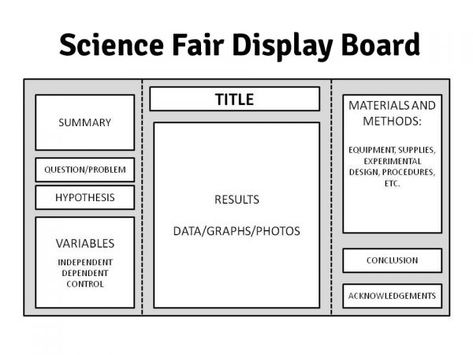 display board Science Fair Display Board, Science Fair Board, Science Fair Projects Boards, Reading Fair, Cool Science Fair Projects, Science Fair Project, Science Reading, Science Quotes, Fair Display