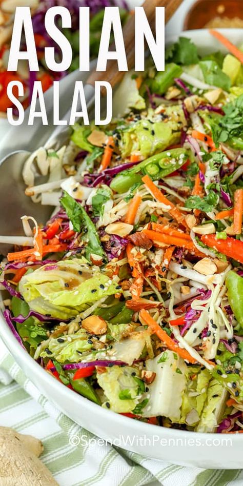 This Asian style salad recipe is a family favorite. It is made with a romaine lettuce base, topped with red cabbage, cilantro, sesame toasted almonds, green onions, and an assortment of crunchy veggies! Finished with an Asian chopped salad dressing this healthy meal is so easy to make and so fun to eat! #spendwithpennies #asianchoppedsalad #salad #asiansalad #choppedsalad #saladrecipe #freshsalad #crunchy Thai Chopped Salad Recipes, Healthy Salad Recipes Vegan, Elite Salad, Fancy Salad Recipes, Mozzarella Rolls, Asian Style Salad, Chopped Salad Dressing, Asian Chopped Salad, Asian Salad Recipe