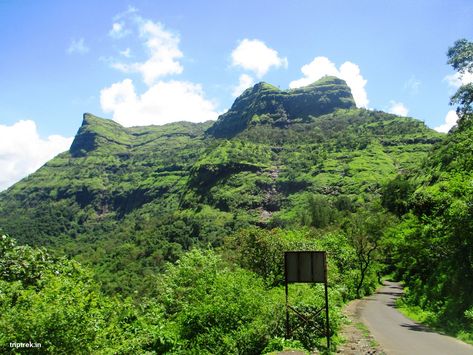 #Raigad Fort #Gadtirth Raigad #Trekking Destination Raigad Fort Hd, Raigad Fort, Diamond Background, Warriors Wallpaper, Krishna Pictures, Mount Rainier, Trekking, Terrace, Fort