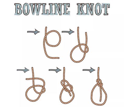 How To Tie A Bowline Knot: A Comprehensive Knot Guide How To Tie Different Knots, Boat Knots, How To Tie Knots, Scout Knots, How To Tie A Knot, Knot Guide, Bowline Knot, Leather Cord Jewelry, Tying Knots